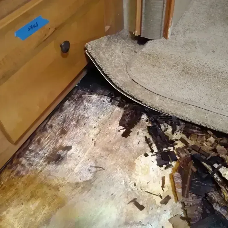 Wood Floor Water Damage in Conrad, MT